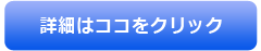 詳細はここをクリック
